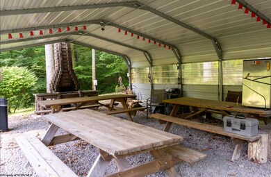 180 Thorpe Mountain Ln, Tallmansville, WV 26237 - photo 5