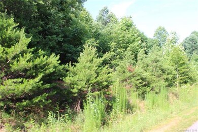 249 Donsdale Dr, Statesville, NC 28625 - photo 7