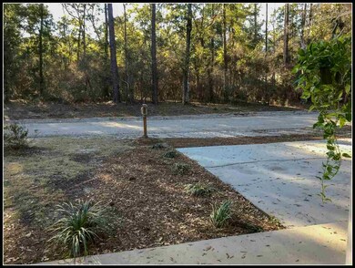 105 Lance Ln, Crawfordville, FL 32327 - photo 5