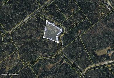 26 Spruce Dr, Indian Lake, NY 12842 - photo 3