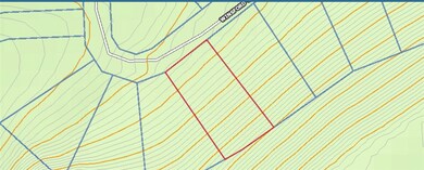 1 Winsford Ln, Bella Vista, AR 72714 - photo 2