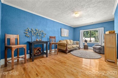 61 Tipperary Dr, Asheville, NC 28806 - photo 2