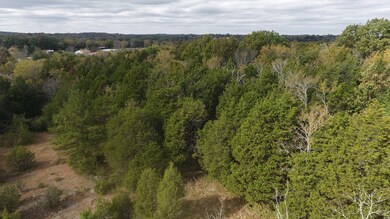 0 Sulphur Springs Rd unit RTC2349526, Shelbyville, TN 37160 - photo 2