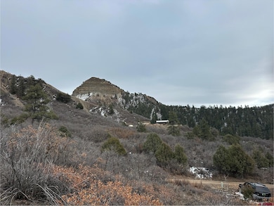 248 Jennifer's Place, Pagosa Springs, CO 81147 - photo 5
