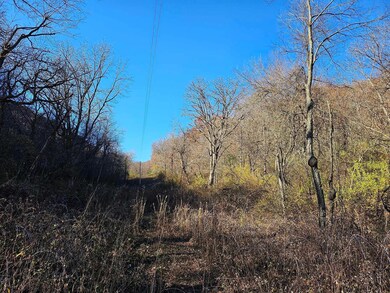 xxxx Braeburn Rd, Wilson Township, MN 55987 - photo 2