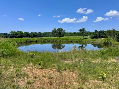 38A Honeysuckle Rd, Franklin, AR 72536 - photo 5