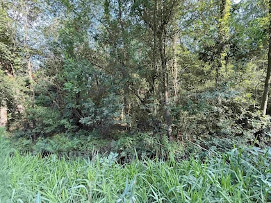 TBD Wolf Pit Bay Rd, Nichols, SC 29581 - photo 2