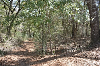 Lot 1 & 2 Blk G Oak Lake Dr, Level Plains, AL 36330 - photo 6