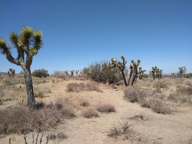 IMG_20210808_121550800