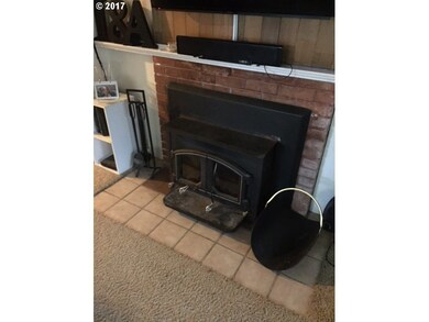 Fireplace Wood Burning Stove/Insert