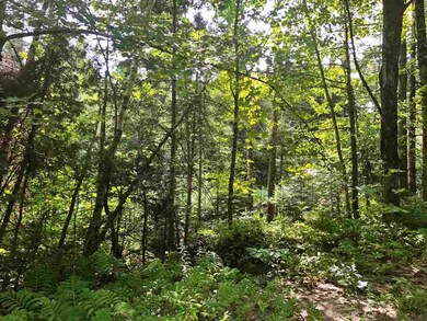 0 Newark St unit 4714978, West Burke, VT 05871 - photo 7