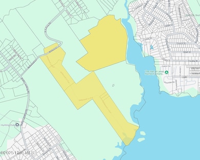 141.83 Acres Watts Landing Rd, Hampstead, NC 28443 - photo 3