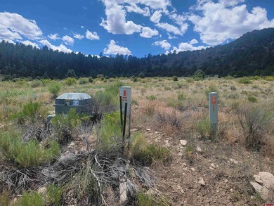 1287 Bear Creek Cir, South Fork, CO 81154 - photo 2