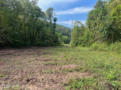 0 unit 1305295, Jamestown, TN 38556 - photo 5