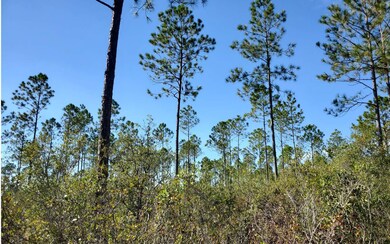 0 SW Prine Rd unit 121586, Lee, FL 32059 - photo 6