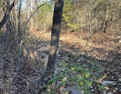 001-08378-001 Highway 62 W, Pyatt, AR 72672 - photo 3