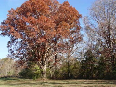 0 Belmar Cir, Manchester, TN 37355 - photo 2