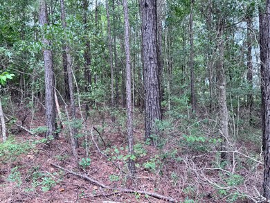 208 Ella Point, Lumberton, MS 39455 - photo 4