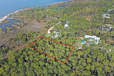 578 E Bay Shore Dr, St. George Island, FL 32328 - photo 3