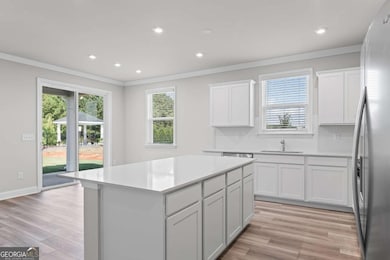 244 Nesta Grove, Locust Grove, GA 30248 - photo 4