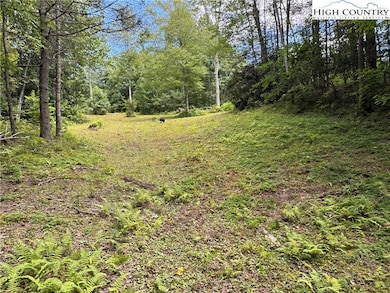 TBD Bryan Davis Rd, Creston, NC 28615 - photo 2