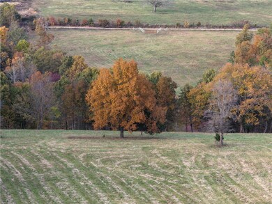 Tract 3 Plumlee Rd, Compton, AR 72624 - photo 4