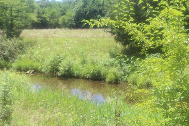 3176 S 170th Rd, Bolivar, MO 65727 - photo 4