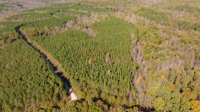 0 Old Highway 18 unit RTC2588344, Stewart, TN 37175 - photo 4