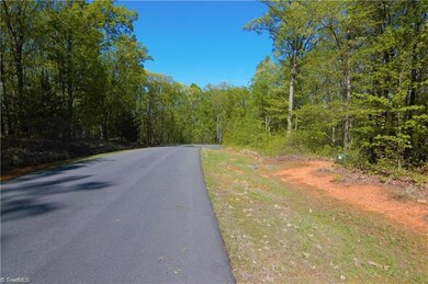 2834 Sierra Trace Rd, Denton, NC 27239 - photo 4