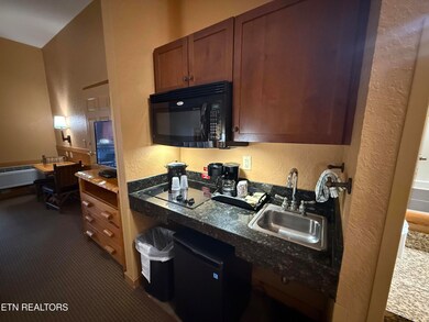 1424 Old Knoxville Hwy unit 11001, Sevierville, TN 37876 - photo 7