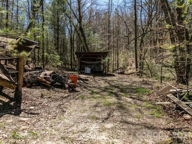 66 Grove Park Rd, Hendersonville, NC 28739 - photo 6