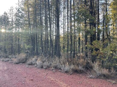 IMG_0926