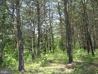 148 Donegal Ln, Berkeley Springs, WV 25411 - photo 7