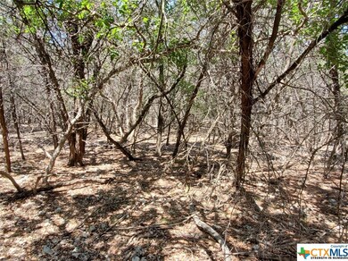 5267 Comanche Dr, Temple, TX 76502 - photo 7