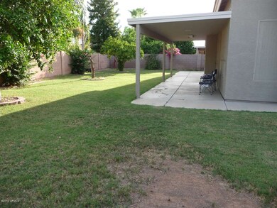 Great Backyard