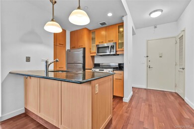 The Windsor at Forest Hills unit 2F, Forest Hills, NY 11375 - photo 5