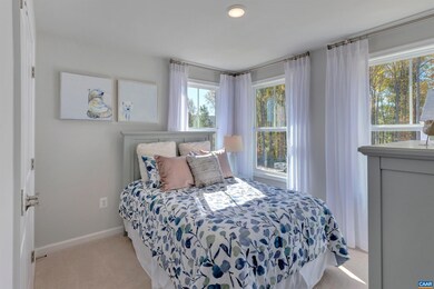 2013 Desoto Dr, Charlottesville, VA 22902 - photo 5