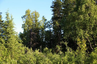 Stone River Lot 7