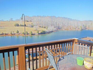VIEW FROM DECK 1.1