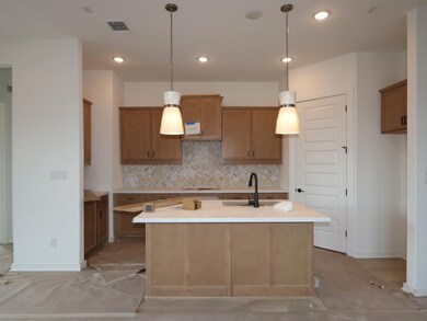 553 Darley Oaks Dr, Dripping Springs, TX 78620 - photo 6