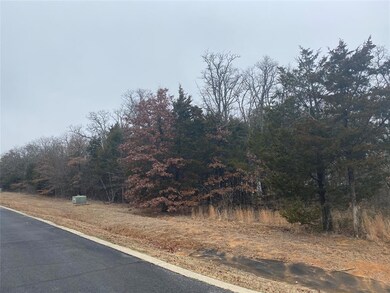 106A Stonewolf Ct, Gordonville, TX 76245 - photo 6