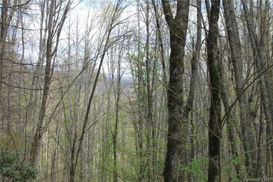 0000 Big Spring Trail unit 61, Qualla, NC 28719 - photo 2