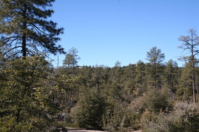 1902 E Phoenix St unit 5, Payson, AZ 85541 - photo 5