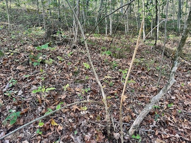 0 New England Ridge Rd unit 25758592, Washington, WV 26181 - photo 7