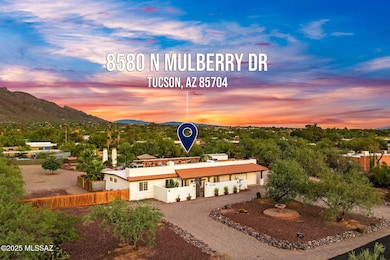 8580 N Mulberry Dr, Tucson, AZ 85704 - photo 2