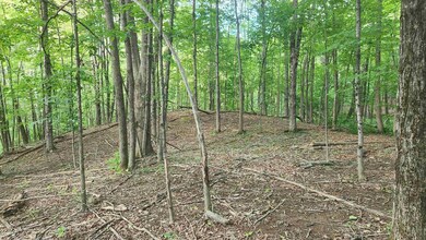 46-2 & 47 New Hampshire 153, Union, NH 03887 - photo 4