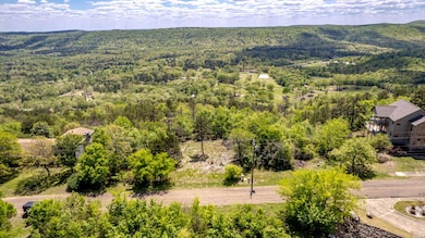 000 Mt Riante Rd, Hot Springs, AR 71913 - photo 3