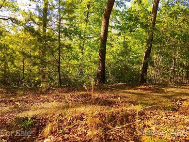 Cleared area in the center of the lot
