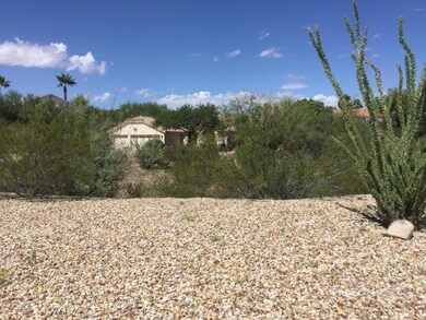 Spacious Front Yard