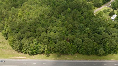 Undefined Scott Rd, Ellerslie, GA 31807 - photo 2